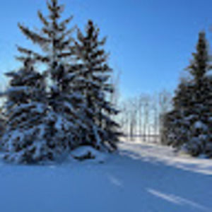 Meet your Posher, Abi